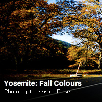 Create an Image Rotator in Flash Using XML and ActionScript 3.0