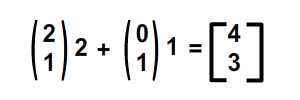 shear in y numerical result